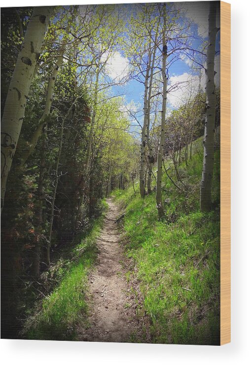 Trail Wood Print featuring the photograph Footpath by Donna Spadola