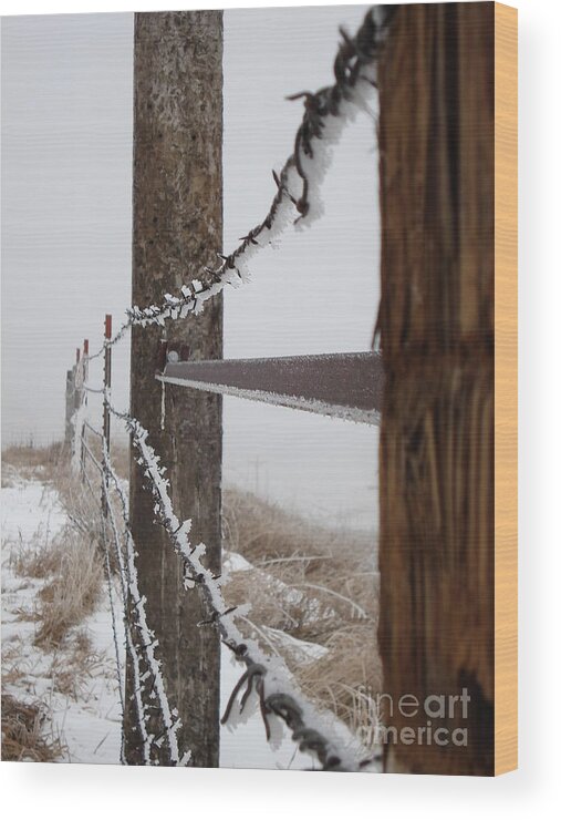 Farm Wood Print featuring the photograph Frozen Fence line by J L Zarek