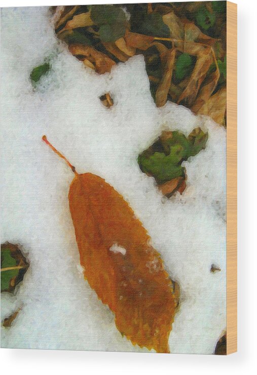 Nature Wood Print featuring the photograph Frozen Nature - Digital Painting Effect by Rhonda Barrett