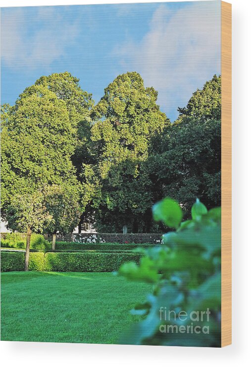 Travel Wood Print featuring the photograph Garden of Munich by Elvis Vaughn