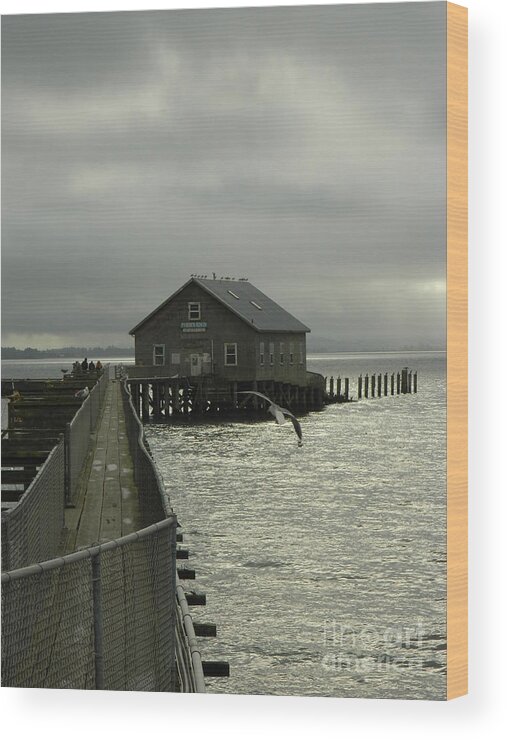 Nature Wood Print featuring the photograph Garibaldi Pier 2 by Gallery Of Hope 