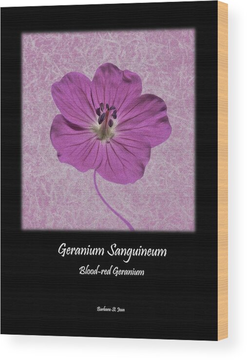 Geranium Wood Print featuring the digital art Geranium Purple Poster 2 by Barbara St Jean