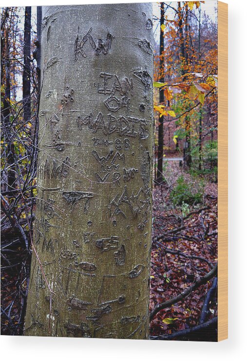 Richard Reeve Wood Print featuring the photograph Graffitree by Richard Reeve