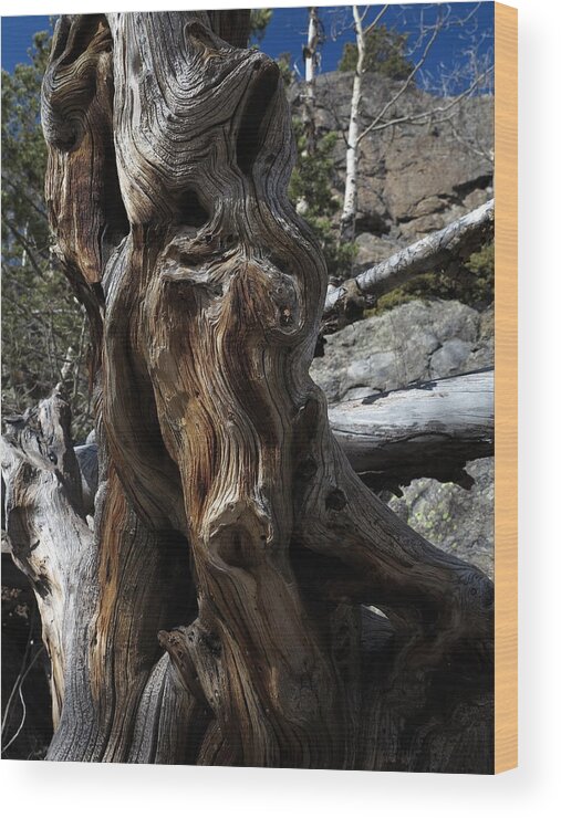 Wood Wood Print featuring the photograph Grain by Jessica Myscofski
