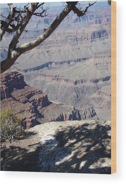 Grand Canyon Wood Print featuring the photograph Grand Canyon by David S Reynolds