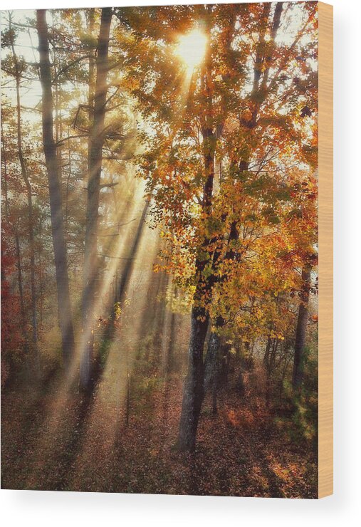 Trees Wood Print featuring the photograph Here Comes the Sun by Paul Cutright