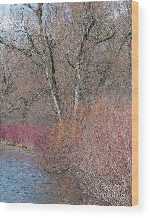 Spring Wood Print featuring the photograph Hint of Spring by Ann Horn