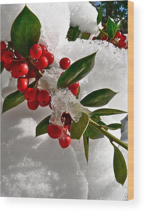 Holly Wood Print featuring the photograph Holly Berries by Jean Wright