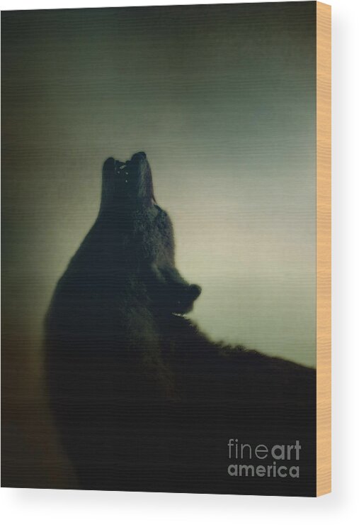 Wolf Wood Print featuring the photograph Howling by Margie Hurwich