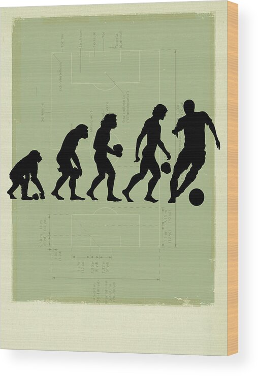 Human Wood Print featuring the photograph Human Evolution by Smetek