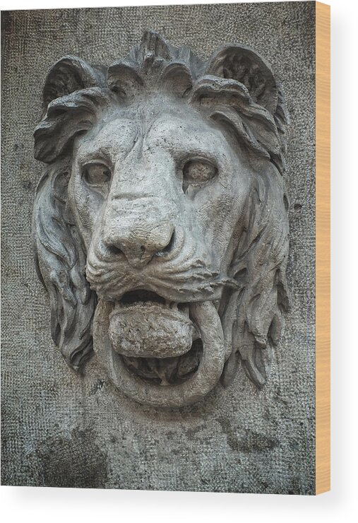 Architecture Wood Print featuring the photograph I Am the Guardian - Hear Me Roar by Lucinda Walter