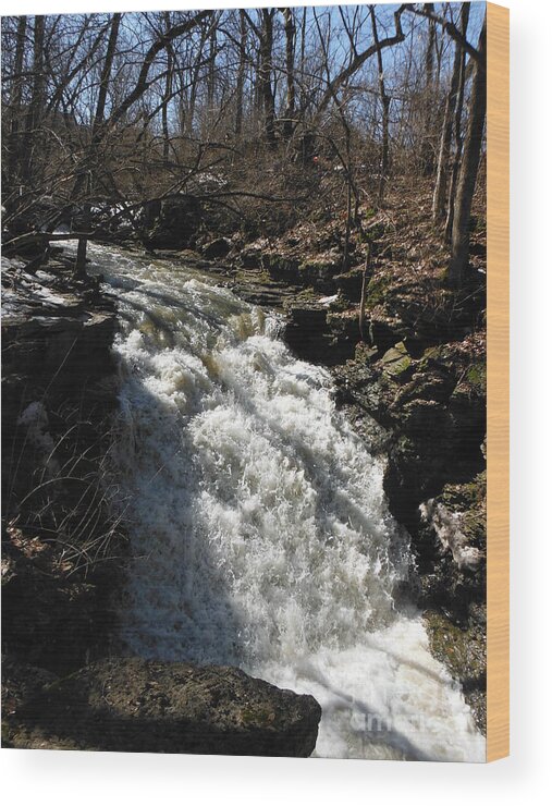 Indian Run Waterfall With February Snow Melt Wood Print featuring the photograph Indian Run Waterfall With February Snow Melt 1 by Paddy Shaffer