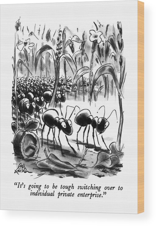 Insects Wood Print featuring the drawing It's Going To Be Tough Switching by Ed Fisher