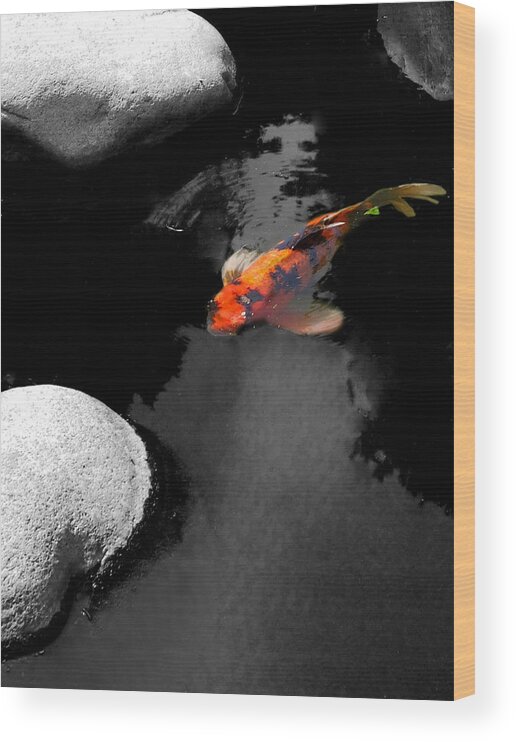 Koi Wood Print featuring the photograph Koi by Meagan Johnson