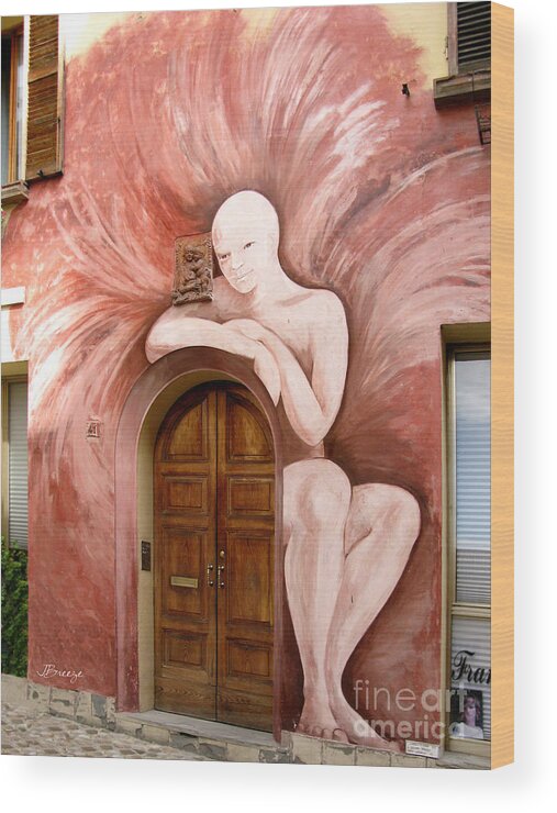 Dozza Wood Print featuring the photograph Lady at the Door.Dozza.Italy by Jennie Breeze