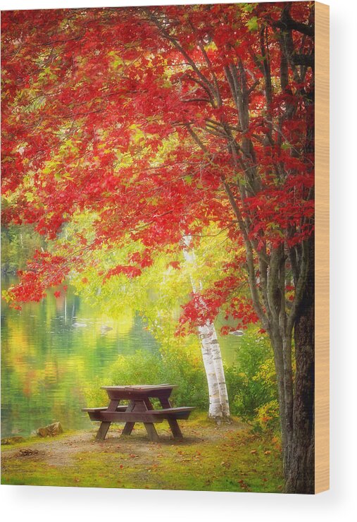 Lakeside Haven Wood Print featuring the photograph Lakeside haven by Carolyn Derstine