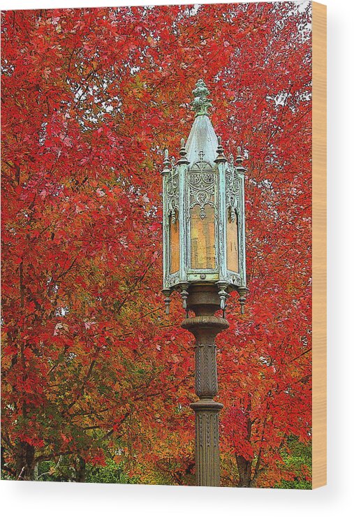 Fine Art Wood Print featuring the photograph Lamp Post in Fall by Rodney Lee Williams