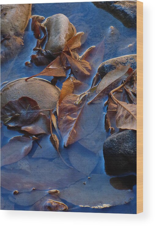 Leaf Wood Print featuring the photograph Leaves in Iridescent Water by Marcia Socolik
