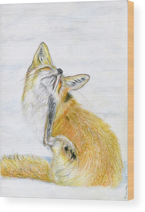 Fox Wood Print featuring the drawing Leisure Fox by Angela Courtney