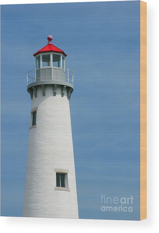 Lighthouse Wood Print featuring the photograph Detroit Light by Ann Horn