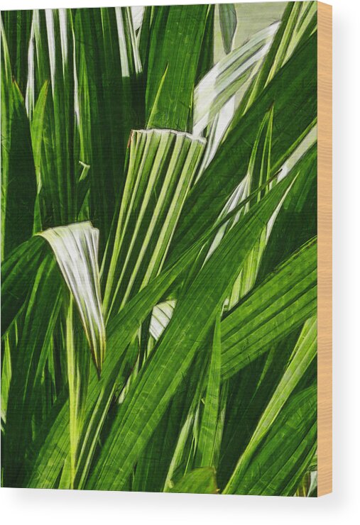 Reed Wood Print featuring the photograph Lines of Nature by Steve Taylor