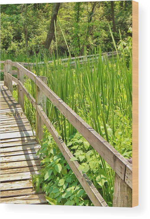 Bridge Wood Print featuring the photograph Little Wooden Walking Bridge by Jean Goodwin Brooks