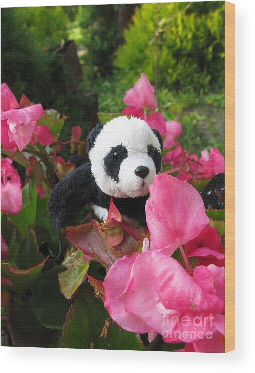 Baby Panda Wood Print featuring the photograph Lovely pink flower by Ausra Huntington nee Paulauskaite