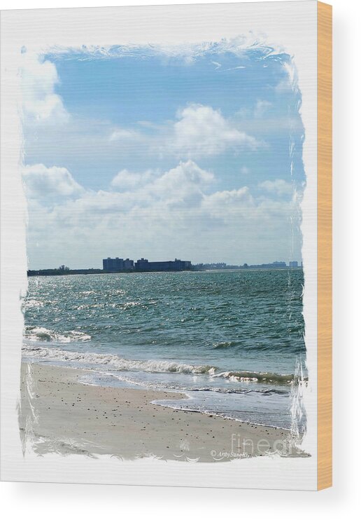 Lowers Key Beach Wood Print featuring the photograph Lovers Key Beach. Florida by Oksana Semenchenko