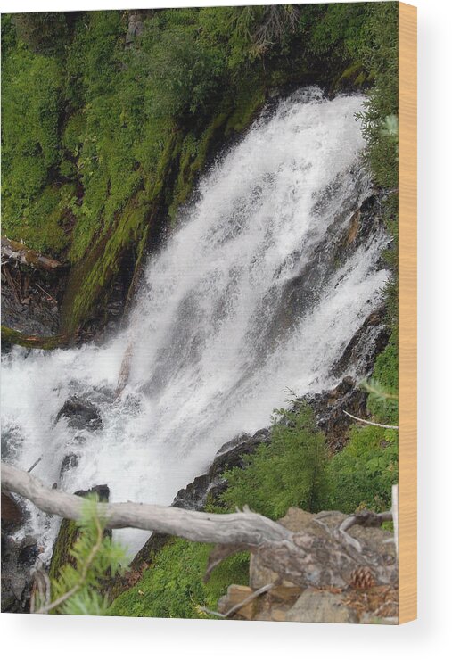 Water Wood Print featuring the photograph Lower part of Red Blanket Falls by Teri Schuster