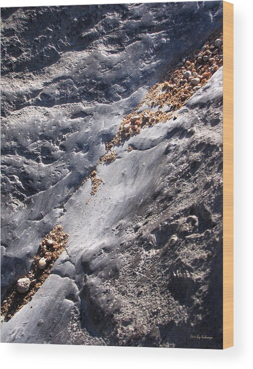 Micro Wood Print featuring the photograph Micro Rock Slide by Lucy VanSwearingen