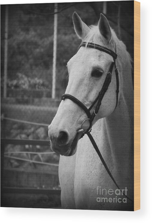 Horses Wood Print featuring the photograph My best Friend by Clare Bevan