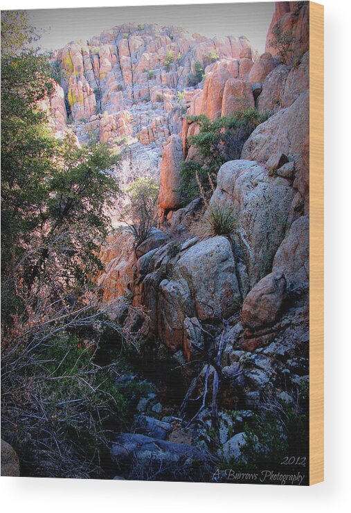 Prescott Wood Print featuring the photograph Natural Light on the Canyon Walls by Aaron Burrows