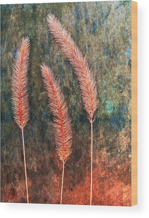 Texture Wood Print featuring the digital art Nature Abstract 15 by Maria Huntley