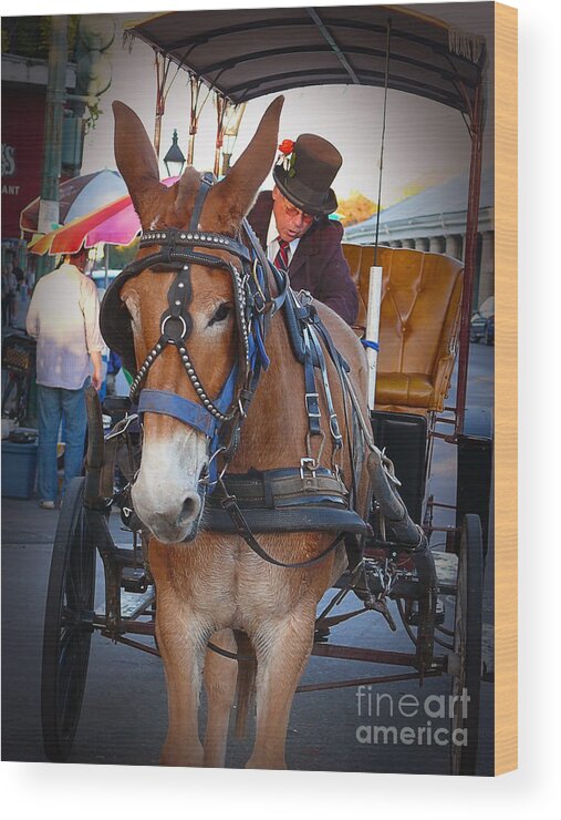 New Orleans. Louisiana Wood Print featuring the photograph New Orleans Mule Carraige by Jeanne Woods