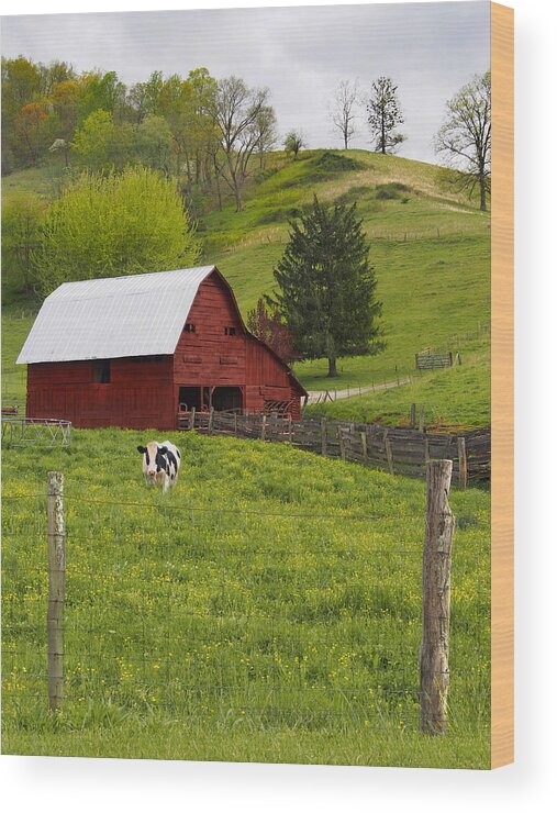 Red Barn Wood Print featuring the photograph New Red Paint by Mike McGlothlen