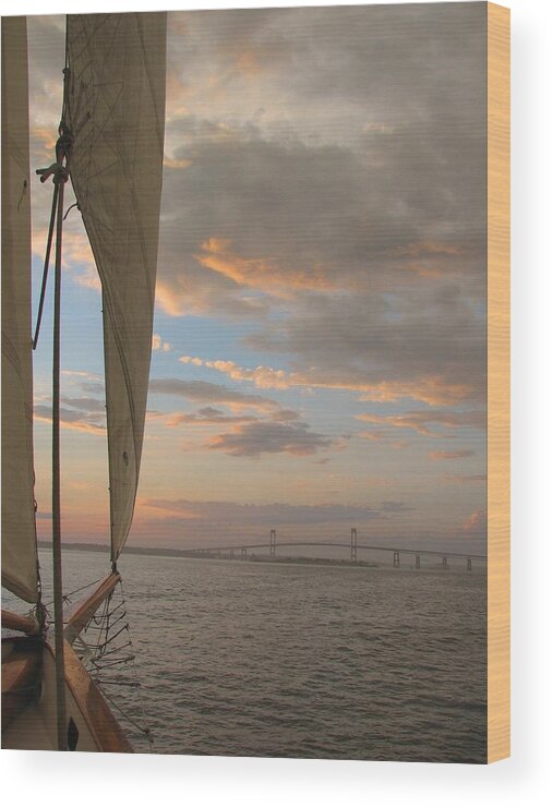 Newport Wood Print featuring the photograph Newport Sail by Tammie Miller