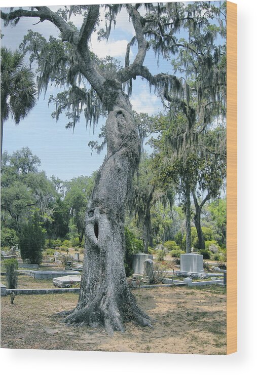 Bonaventure Cemetery Wood Print featuring the photograph Oak Tree with a Face by Victoria Lakes