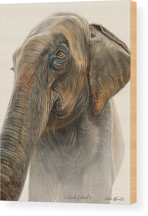 Elephant Wood Print featuring the digital art Old Lady of Nepal 2 by Aaron Blaise