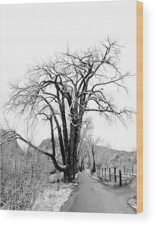 New Mexico Wood Print featuring the photograph Old Man by Atom Crawford