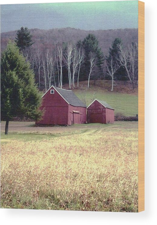 Barn Wood Print featuring the photograph Old Red Barn by John Scates