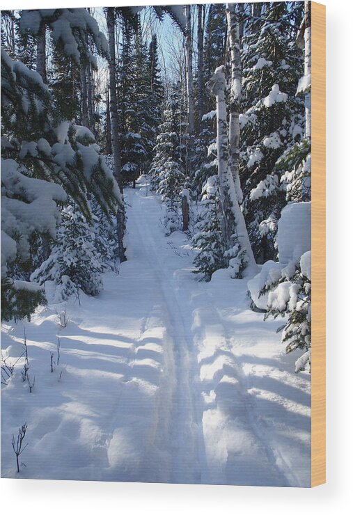 Cross Country Skiing Wood Print featuring the photograph Out on the Trail by Sandra Updyke