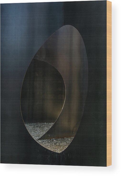 Abstract Wood Print featuring the photograph Oval Steel by Luc Vangindertael (lagrange)