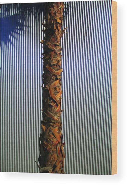 Palm Wood Print featuring the photograph Palm On Sheet Metal by Randall Weidner