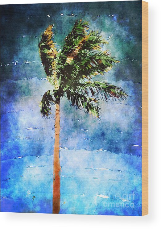 Palm Tree Wood Print featuring the photograph Palm Tree In A Tropical Storm by Phil Perkins