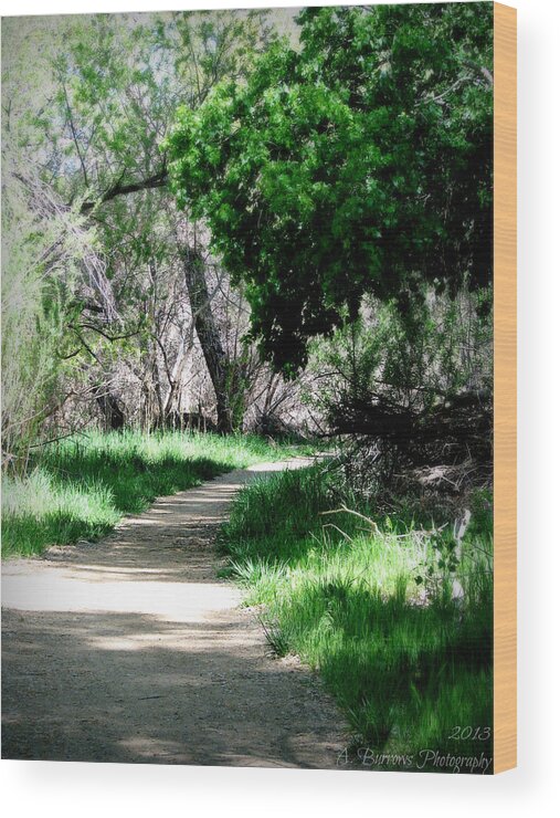 Watson Lake Wood Print featuring the photograph Path Through the Cottonwoods by Aaron Burrows