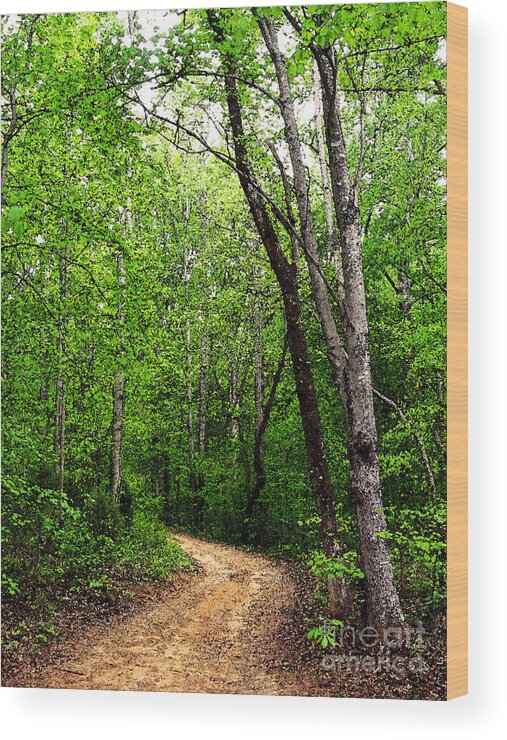 Dirt Road Wood Print featuring the photograph Peaceful Walk by Lydia Holly