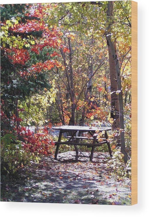 Picnic Wood Print featuring the photograph Picnic Memories by Gigi Dequanne