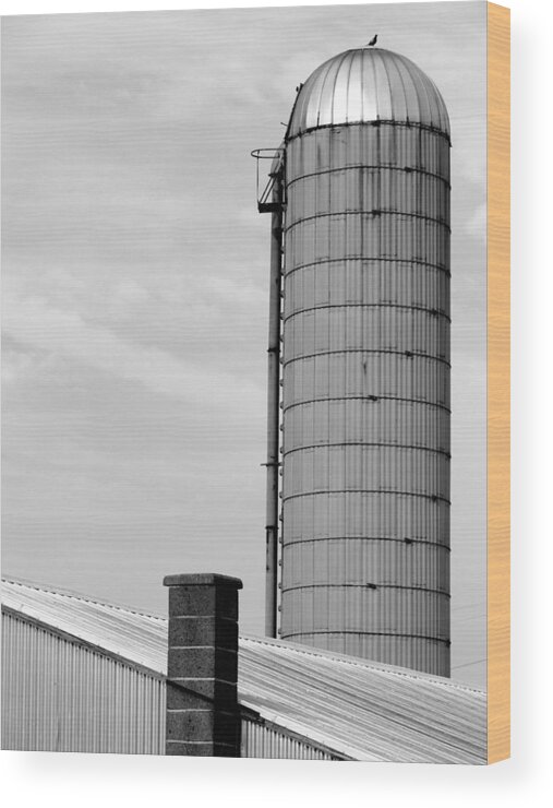Silo Wood Print featuring the photograph Pigeon Perch by Mary Beth Landis