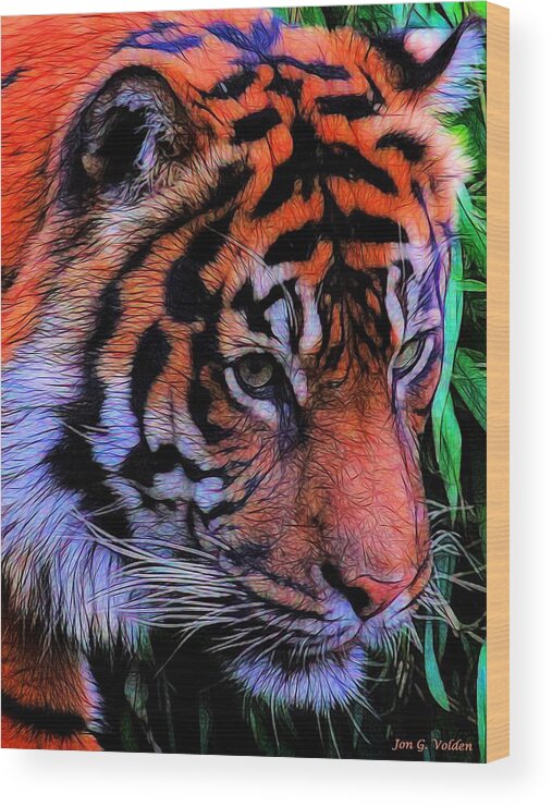 Tiger Wood Print featuring the painting Portrait Of A Tiger by Jon Volden