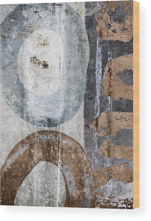 Japan Wood Print featuring the photograph Silken Circles 1 by Carol Leigh